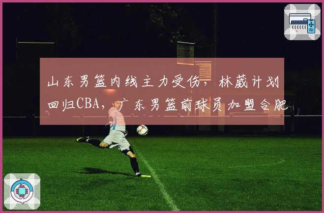 山东男篮内线主力受伤，林葳计划回归CBA，广东男篮前球员加盟合肥狂风