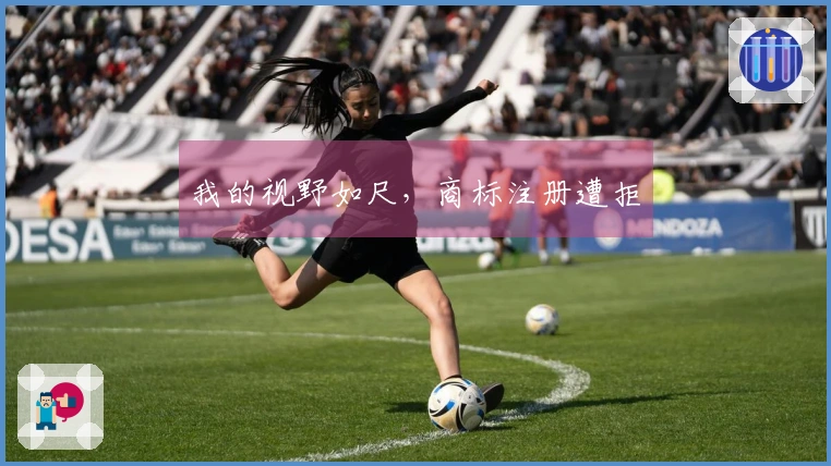 我的视野如尺，商标注册遭拒