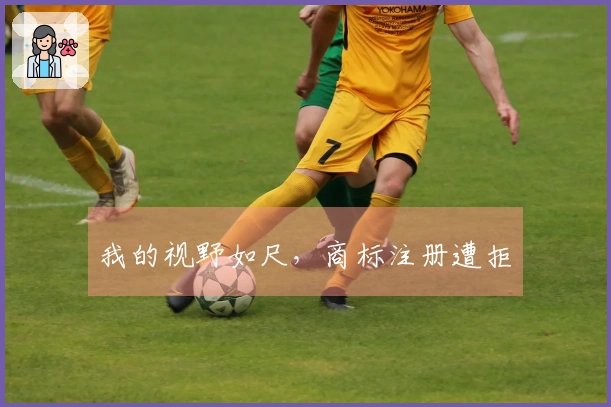 我的视野如尺，商标注册遭拒