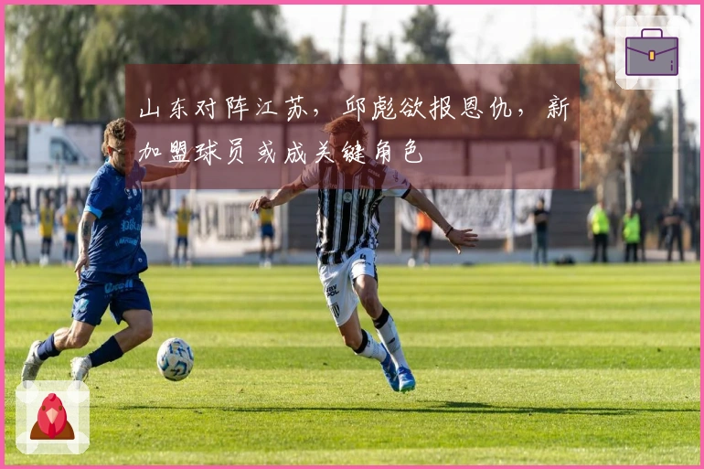 山东对阵江苏，邱彪欲报恩仇，新加盟球员或成关键角色